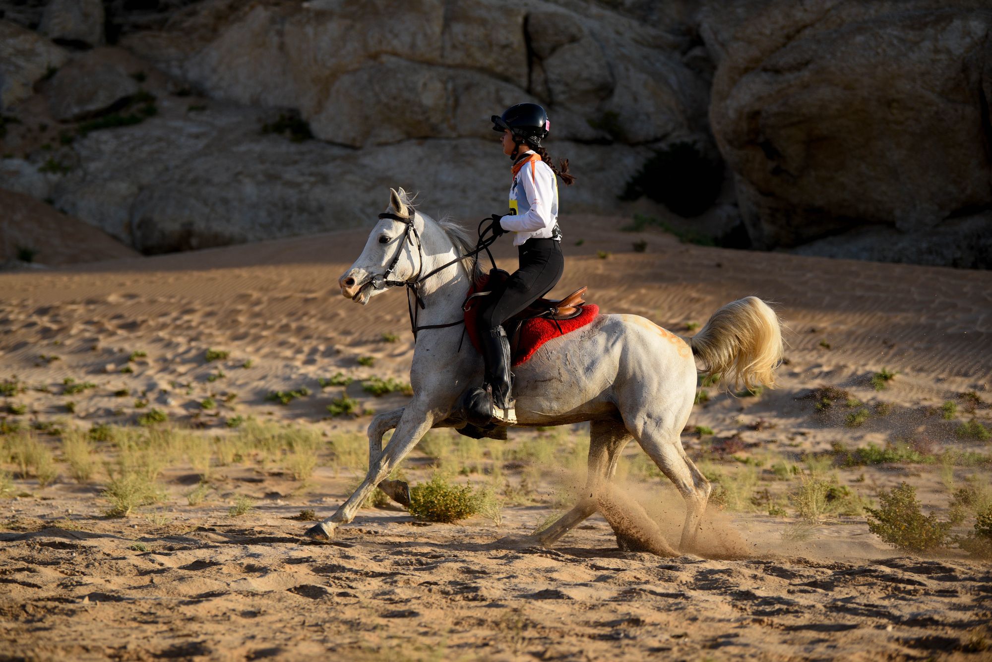 Highlights (61 of 231)_resized.jpg